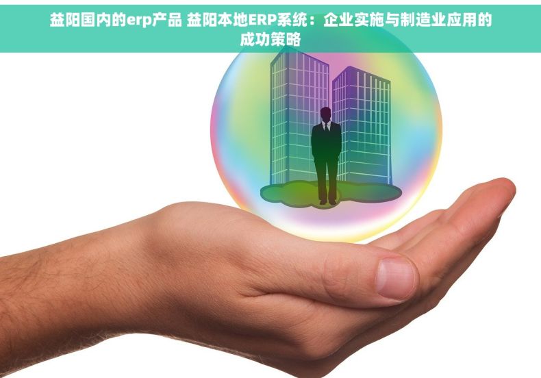 益阳国内的erp产品 益阳本地ERP系统：企业实施与制造业应用的成功策略