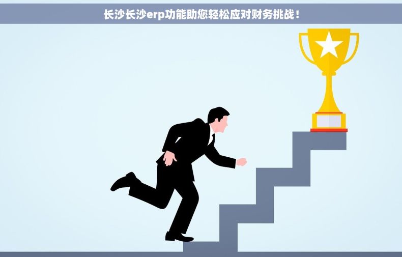 长沙长沙erp功能助您轻松应对财务挑战！