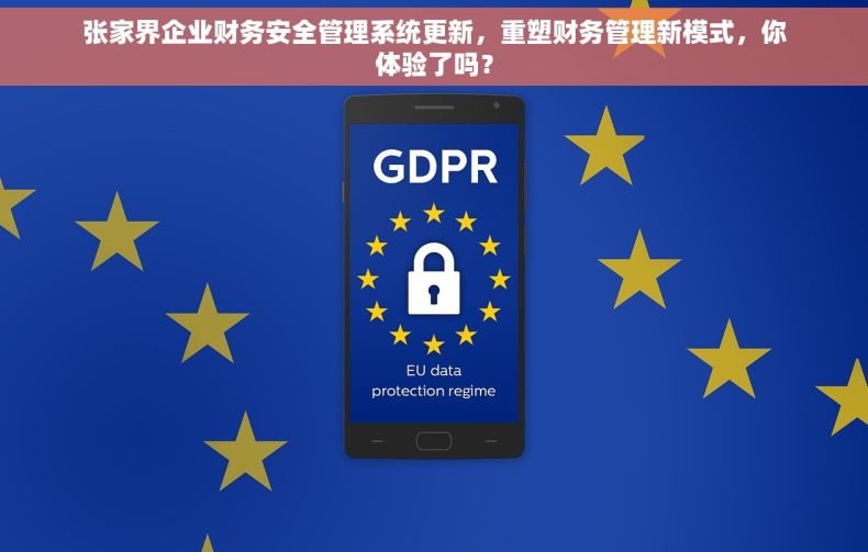 张家界企业财务安全管理系统更新，重塑财务管理新模式，你体验了吗？