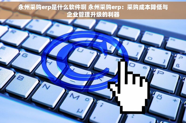 永州采购erp是什么软件啊 永州采购erp：采购成本降低与企业管理升级的利器
