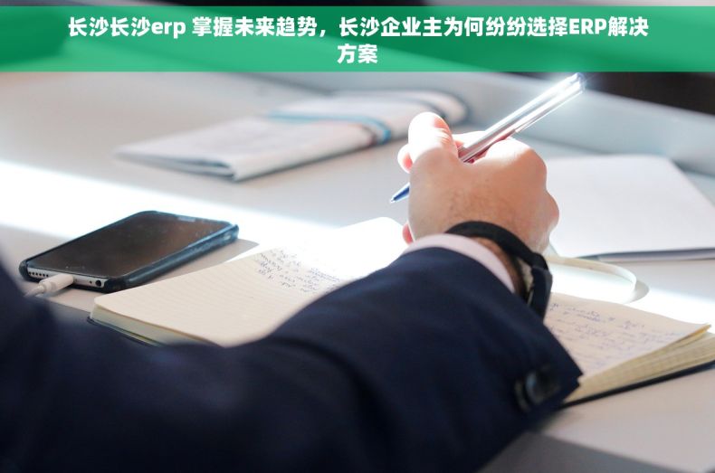 长沙长沙erp 掌握未来趋势，长沙企业主为何纷纷选择ERP解决方案