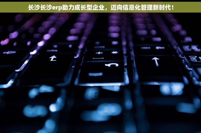长沙长沙erp助力成长型企业，迈向信息化管理新时代！