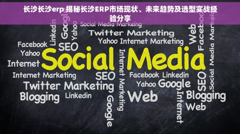 长沙长沙erp 揭秘长沙ERP市场现状、未来趋势及选型实战经验分享