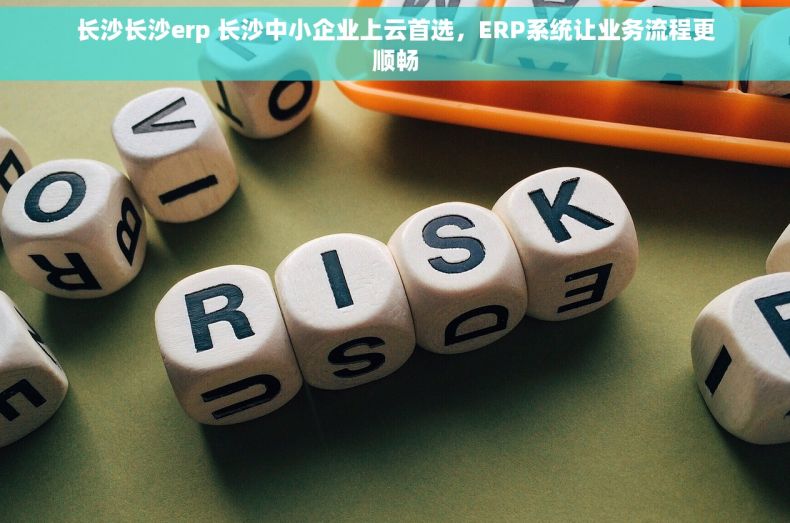 长沙长沙erp 长沙中小企业上云首选，ERP系统让业务流程更顺畅