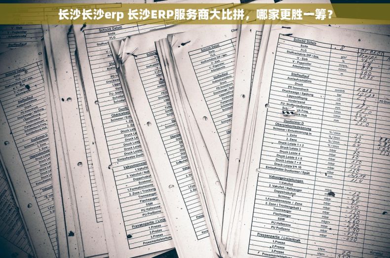 长沙长沙erp 长沙ERP服务商大比拼，哪家更胜一筹？