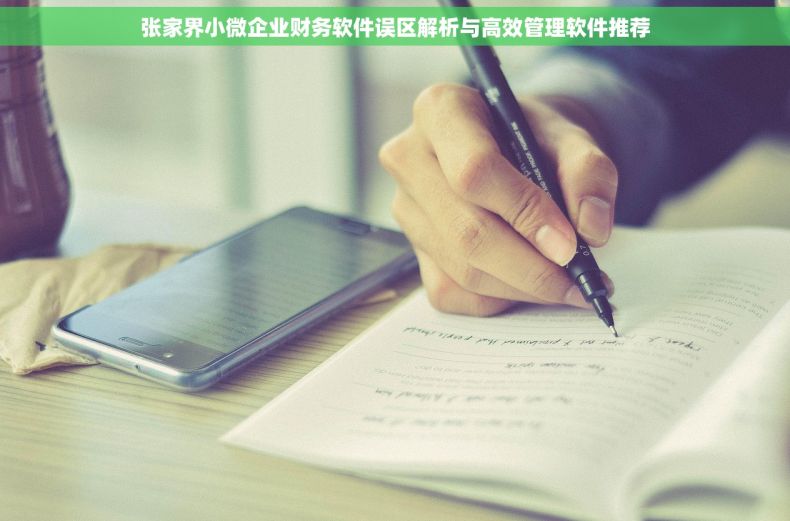 张家界小微企业财务软件误区解析与高效管理软件推荐