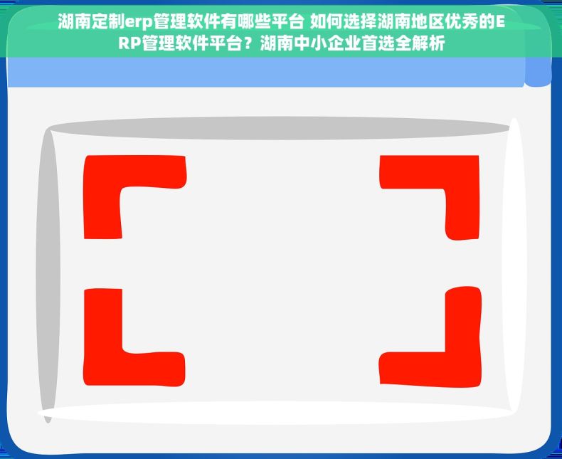 湖南定制erp管理软件有哪些平台 如何选择湖南地区优秀的ERP管理软件平台？湖南中小企业首选全解析
