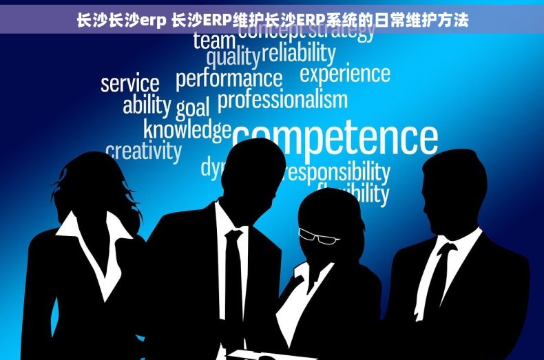 长沙长沙erp 长沙ERP维护长沙ERP系统的日常维护方法