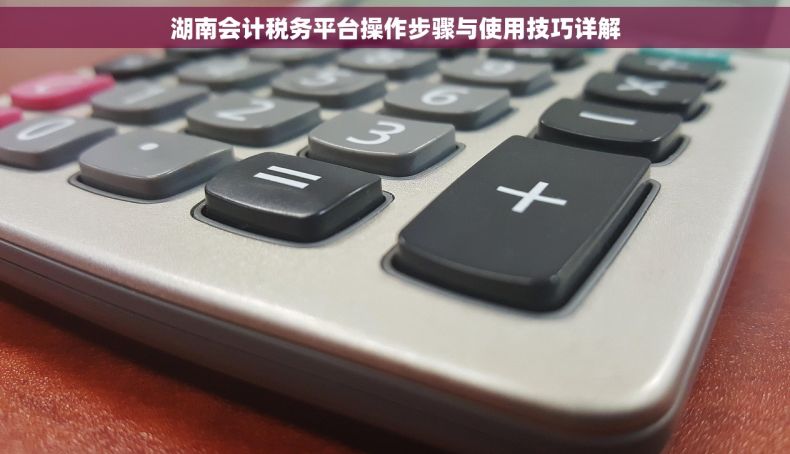 湖南会计税务平台操作步骤与使用技巧详解