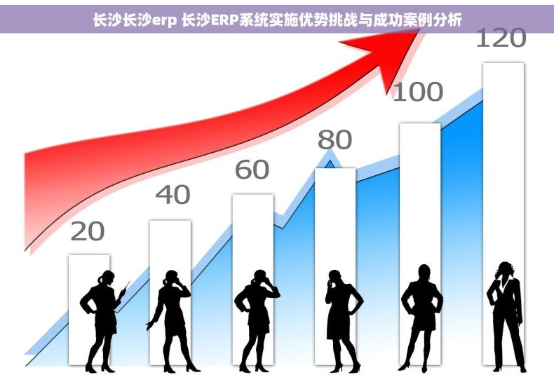 长沙长沙erp 长沙ERP系统实施优势挑战与成功案例分析