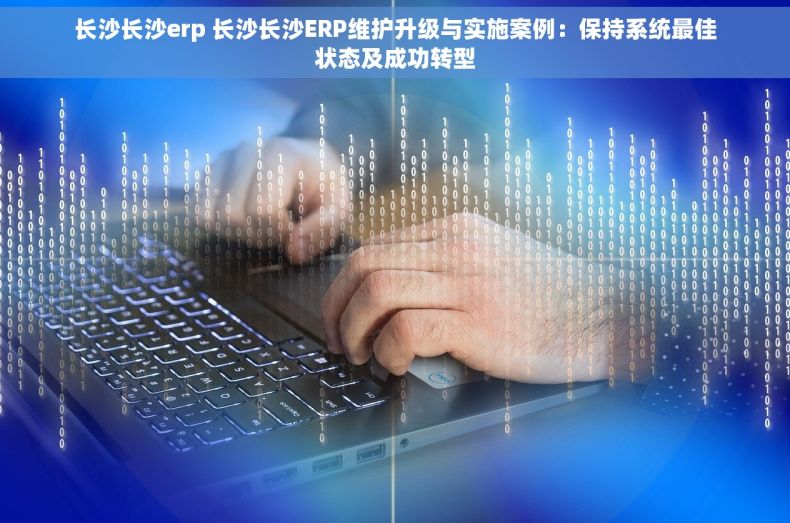长沙长沙erp 长沙长沙ERP维护升级与实施案例：保持系统最佳状态及成功转型