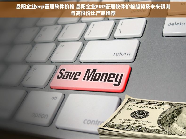 岳阳企业erp管理软件价格 岳阳企业ERP管理软件价格趋势及未来预测与高性价比产品推荐