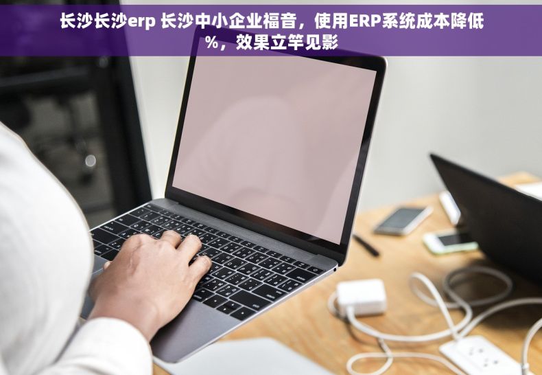 长沙长沙erp 长沙中小企业福音，使用ERP系统成本降低%，效果立竿见影