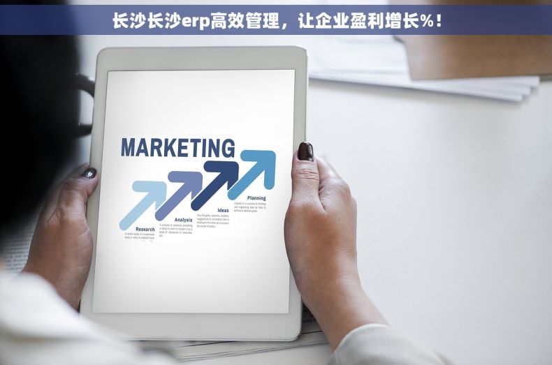 长沙长沙erp高效管理，让企业盈利增长%！
