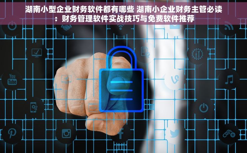 湖南小型企业财务软件都有哪些 湖南小企业财务主管必读：财务管理软件实战技巧与免费软件推荐