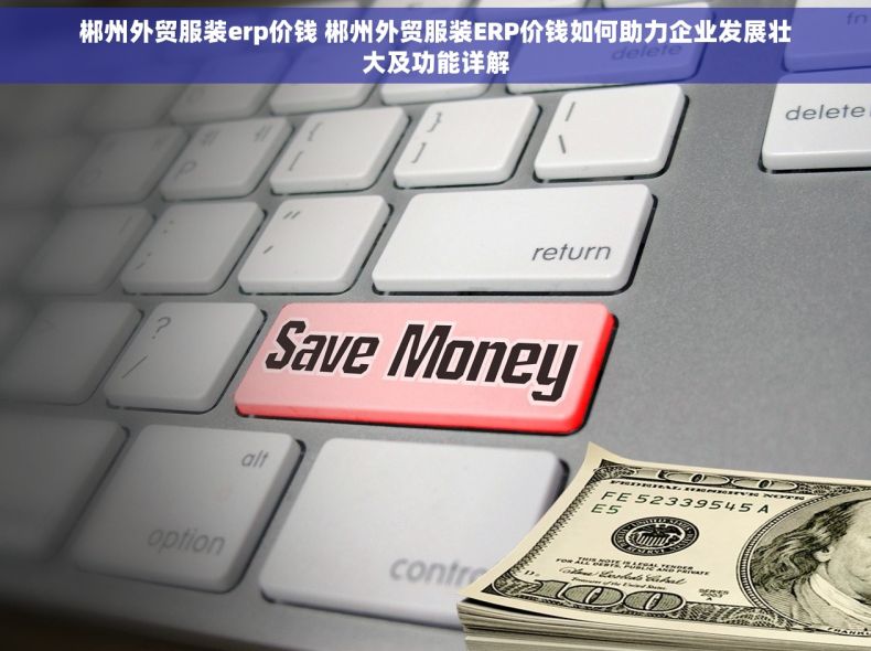 郴州外贸服装erp价钱 郴州外贸服装ERP价钱如何助力企业发展壮大及功能详解