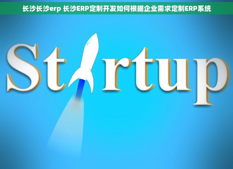 长沙长沙erp 长沙ERP定制开发如何根据企业需求定制ERP系统