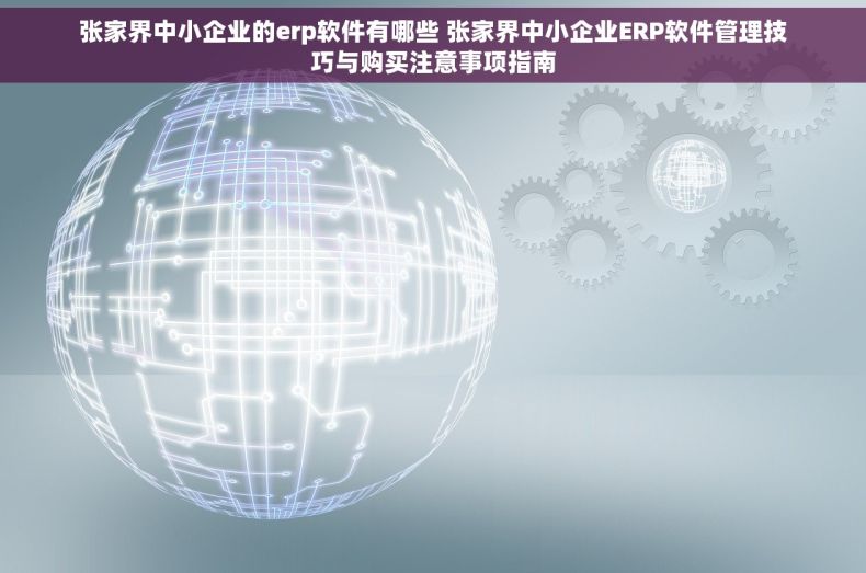 张家界中小企业的erp软件有哪些 张家界中小企业ERP软件管理技巧与购买注意事项指南