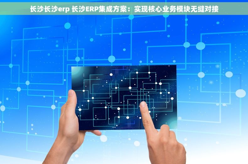 长沙长沙erp 长沙ERP集成方案：实现核心业务模块无缝对接