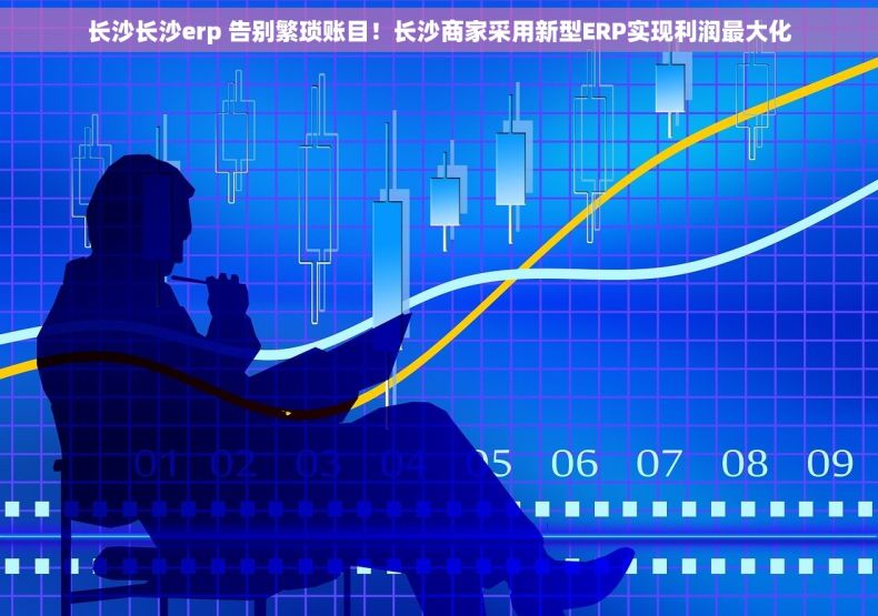 长沙长沙erp 告别繁琐账目！长沙商家采用新型ERP实现利润最大化