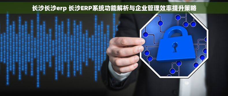 长沙长沙erp 长沙ERP系统功能解析与企业管理效率提升策略