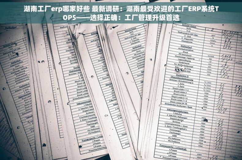 湖南工厂erp哪家好些 最新调研：湖南最受欢迎的工厂ERP系统TOP5——选择正确：工厂管理升级首选