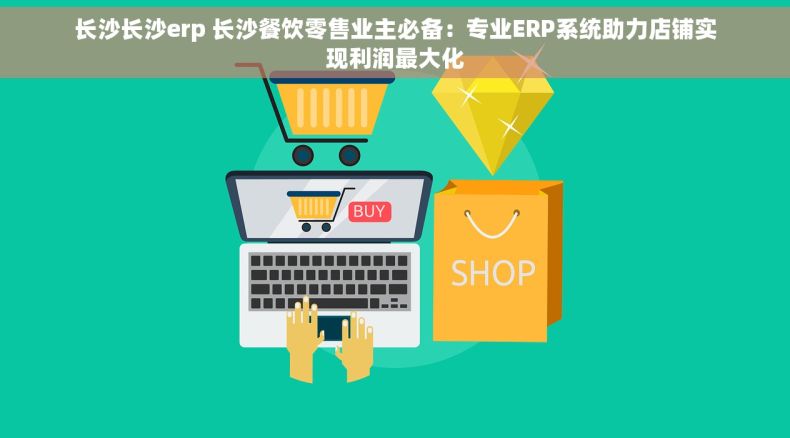 长沙长沙erp 长沙餐饮零售业主必备：专业ERP系统助力店铺实现利润最大化