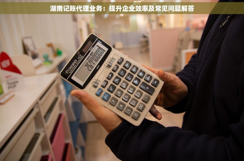 湖南记账代理业务：提升企业效率及常见问题解答