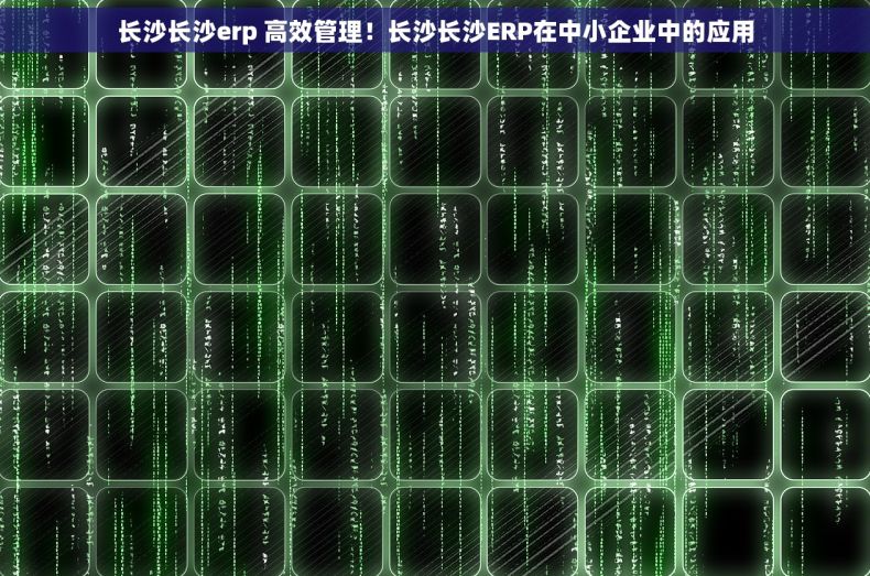 长沙长沙erp 高效管理！长沙长沙ERP在中小企业中的应用