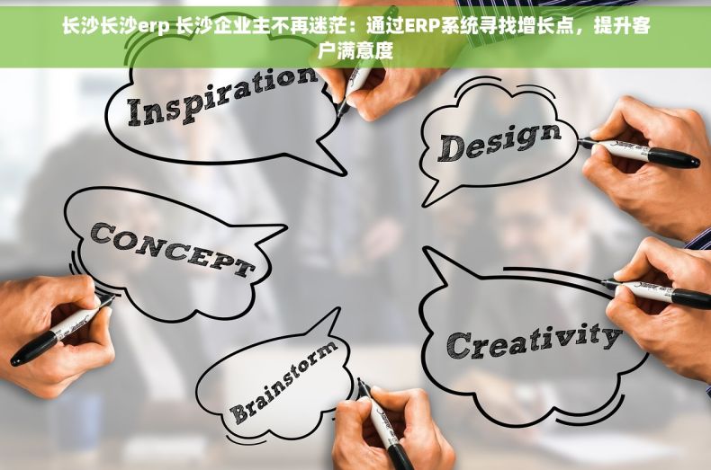 长沙长沙erp 长沙企业主不再迷茫：通过ERP系统寻找增长点，提升客户满意度