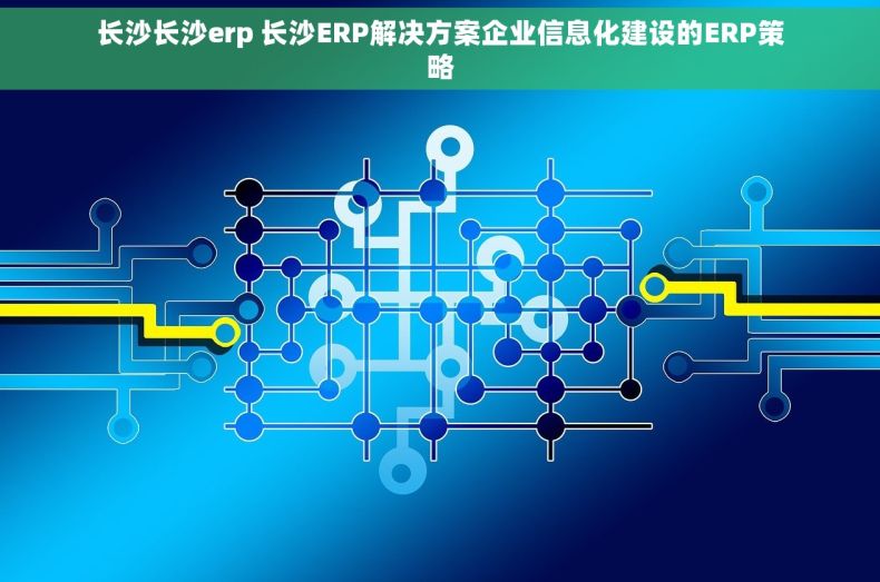 长沙长沙erp 长沙ERP解决方案企业信息化建设的ERP策略