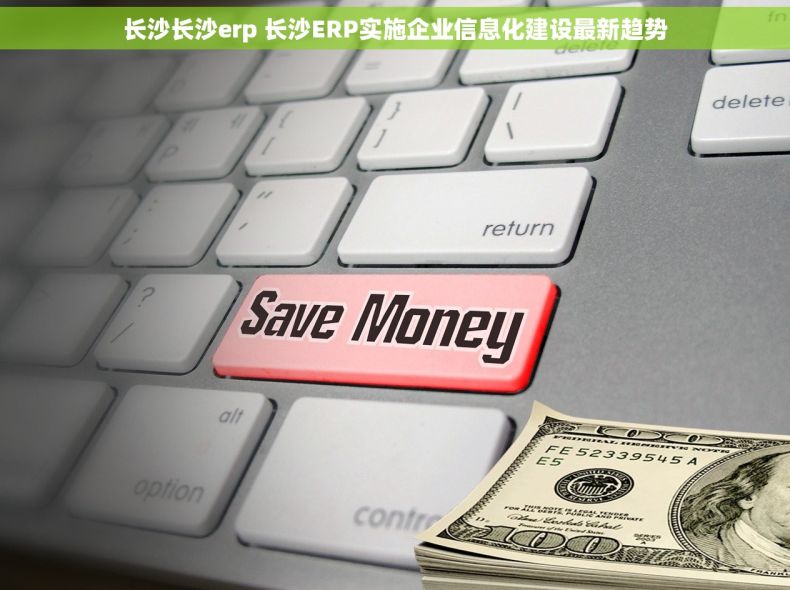 长沙长沙erp 长沙ERP实施企业信息化建设最新趋势