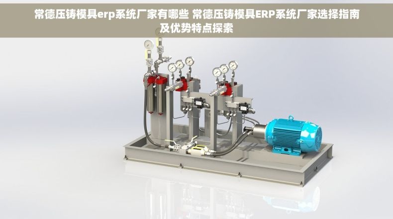 常德压铸模具erp系统厂家有哪些 常德压铸模具ERP系统厂家选择指南及优势特点探索