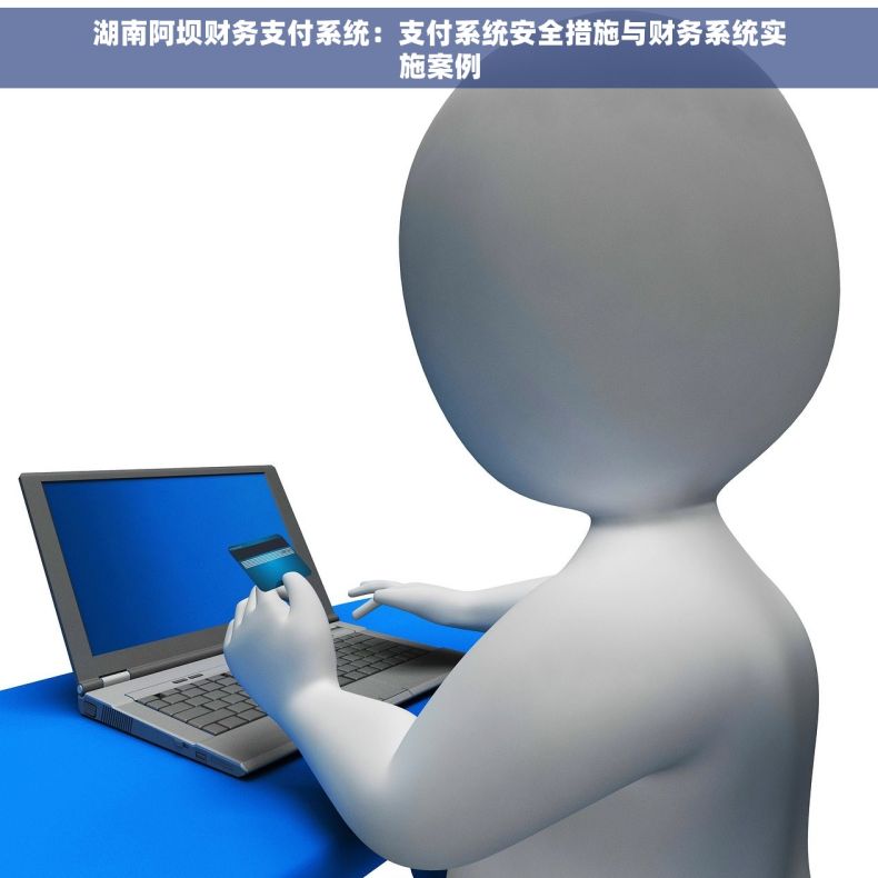 湖南阿坝财务支付系统：支付系统安全措施与财务系统实施案例