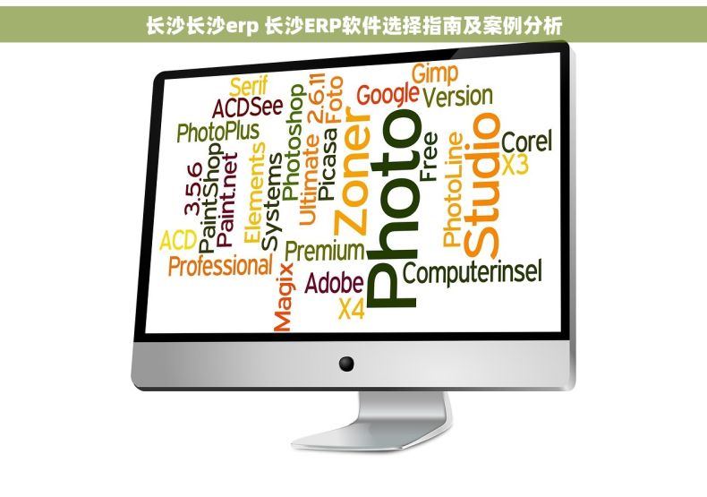 长沙长沙erp 长沙ERP软件选择指南及案例分析