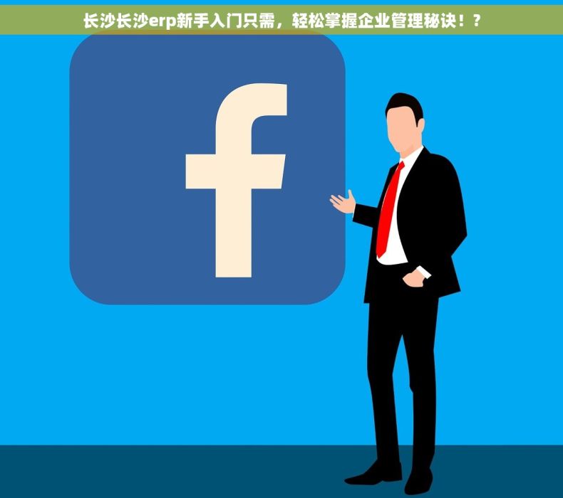 长沙长沙erp新手入门只需，轻松掌握企业管理秘诀！?