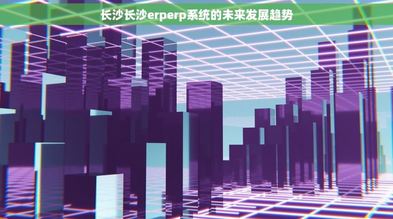 长沙长沙erperp系统的未来发展趋势