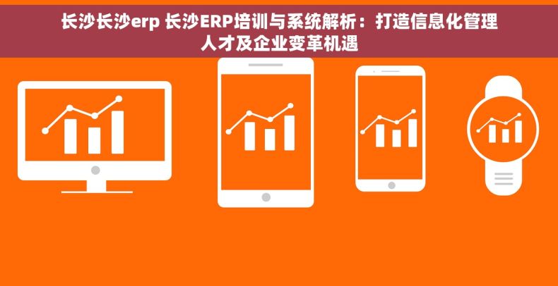长沙长沙erp 长沙ERP培训与系统解析：打造信息化管理人才及企业变革机遇