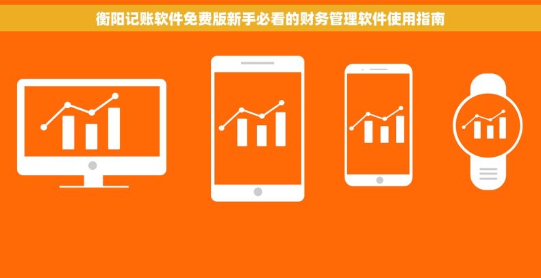 衡阳记账软件免费版新手必看的财务管理软件使用指南