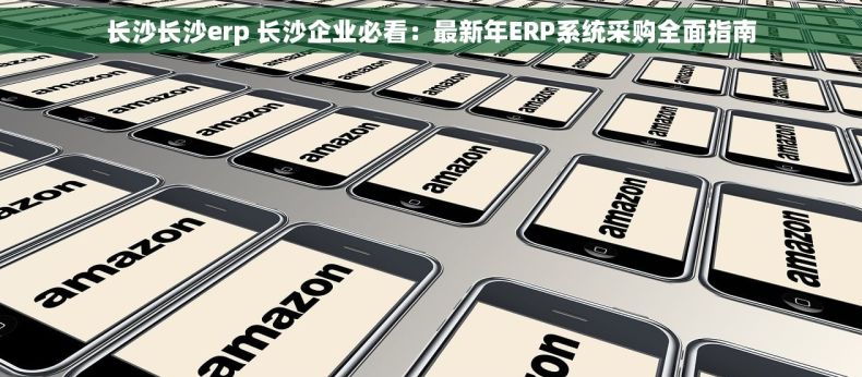 长沙长沙erp 长沙企业必看：最新年ERP系统采购全面指南
