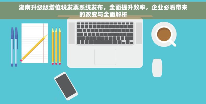 湖南升级版增值税发票系统发布，全面提升效率，企业必看带来的改变与全面解析