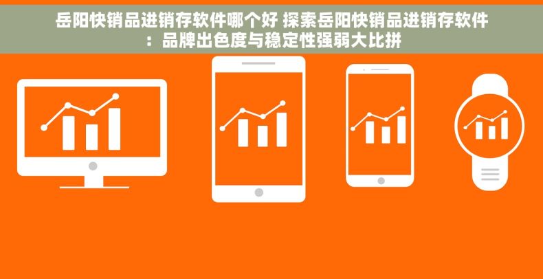 岳阳快销品进销存软件哪个好 探索岳阳快销品进销存软件：品牌出色度与稳定性强弱大比拼