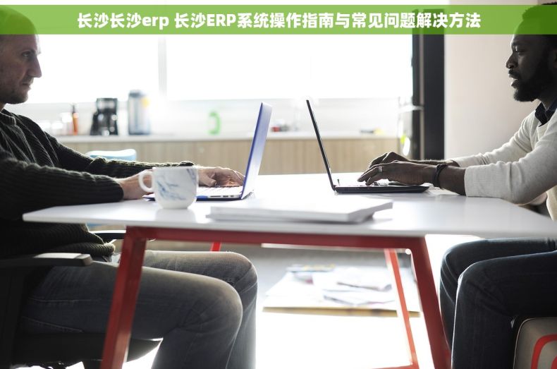 长沙长沙erp 长沙ERP系统操作指南与常见问题解决方法