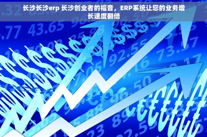长沙长沙erp 长沙创业者的福音，ERP系统让您的业务增长速度翻倍