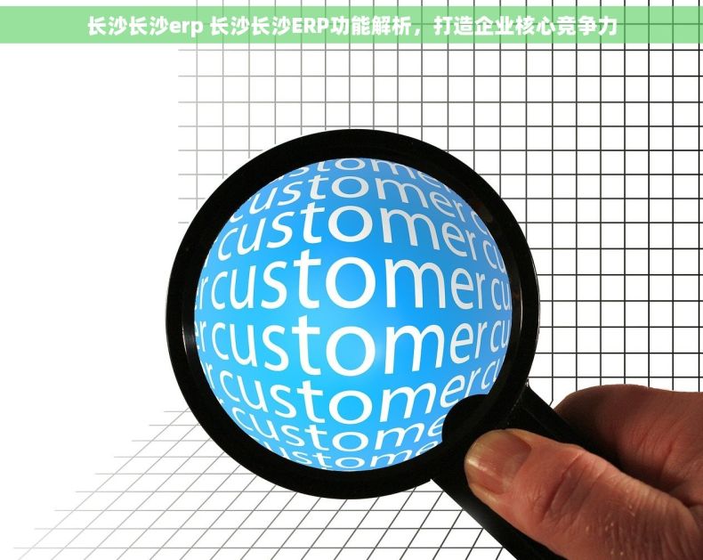 长沙长沙erp 长沙长沙ERP功能解析，打造企业核心竞争力