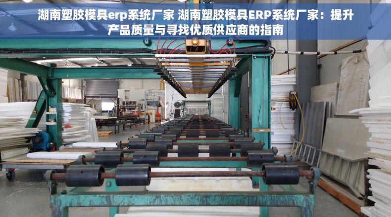 湖南塑胶模具erp系统厂家 湖南塑胶模具ERP系统厂家：提升产品质量与寻找优质供应商的指南