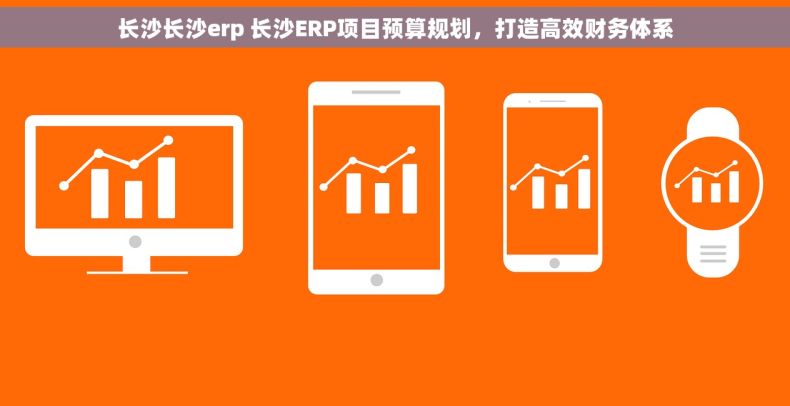 长沙长沙erp 长沙ERP项目预算规划，打造高效财务体系