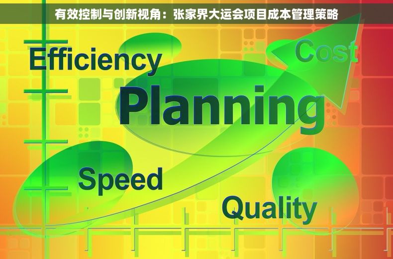 有效控制与创新视角：张家界大运会项目成本管理策略