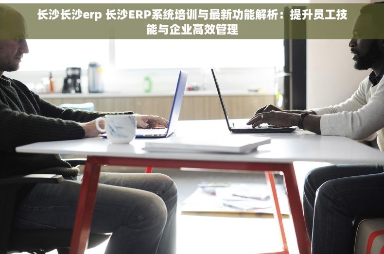 长沙长沙erp 长沙ERP系统培训与最新功能解析：提升员工技能与企业高效管理
