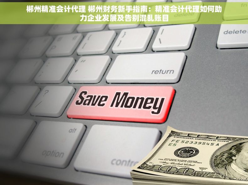 郴州精准会计代理 郴州财务新手指南：精准会计代理如何助力企业发展及告别混乱账目